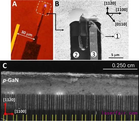 圖｜鰭式 LED 像素和陣列光學(xué)圖像（來源：Science Advances）