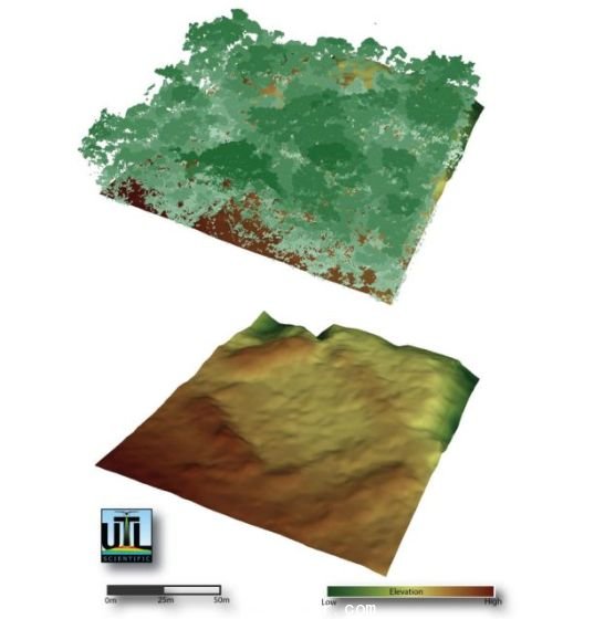 　上圖為研究人員繪制的林木線(xiàn)，下圖為“看穿”樹(shù)蔭后揭示的地面 